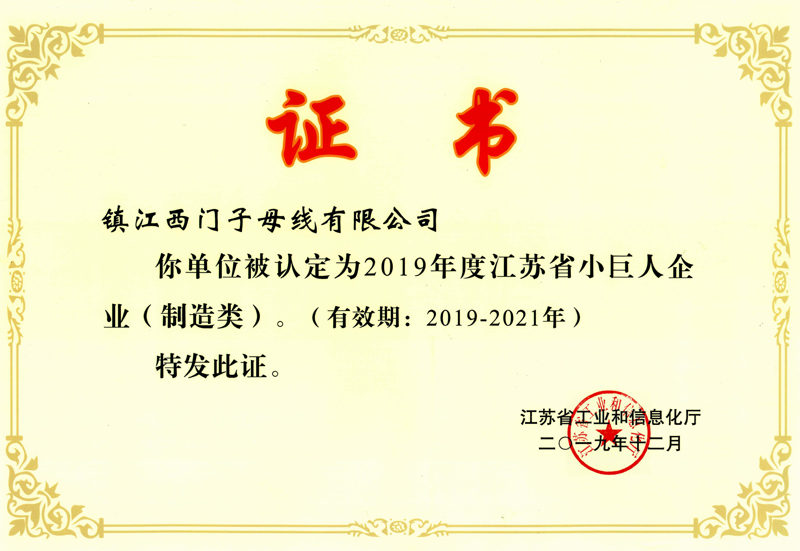  2019 Jiangsu Little Giant Enterprise